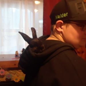 Meet your Posher, Jacob